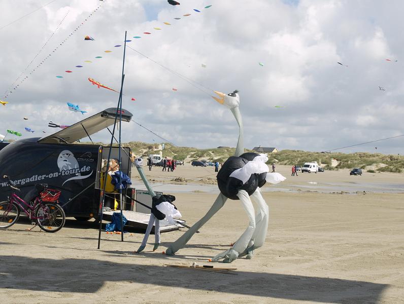 Fanø 2009 11.jpg